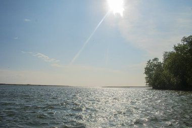 Şampanyalı deniz manzaraları ve güneşli kuşlar.