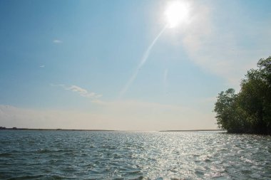Ağaçlarla ve kuşlarla dolu deniz manzaraları.
