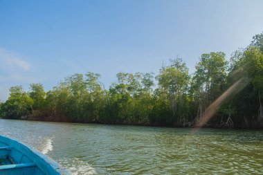 Mavi gökyüzü ile yeşil ağaçlı göl