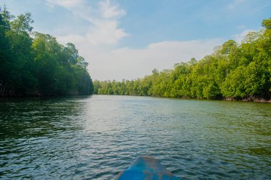 Bulutlu mavi gökyüzü, kumsalda ağaçlar
