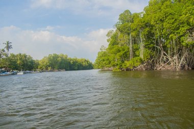 Ağaçlı güzel nehir manzarası ve bulutlu gökyüzü.