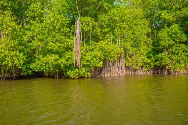 Beautiful summer sunset bluish sky, flared clouds, waves, boats, palm trees around the sea and sand