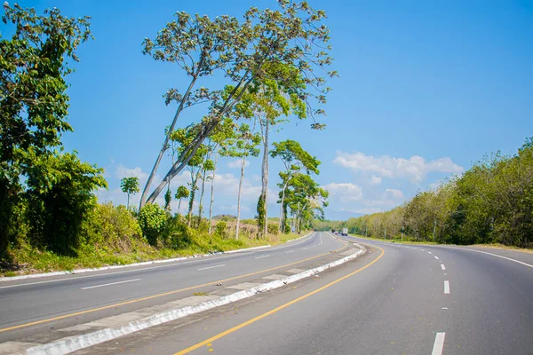 Çevresindeki ağaçlar ve arka planda mavi bir gökyüzü.