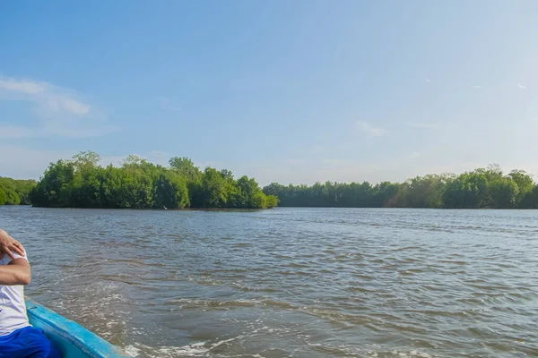 Bulutlu mavi gökyüzü, kumsalda kumla çevrili ağaçlar