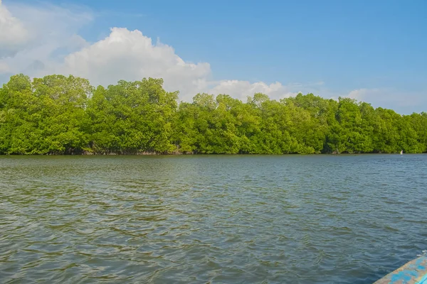 Bulutlu mavi gökyüzü, tekneyle kumsalda ağaçlar...