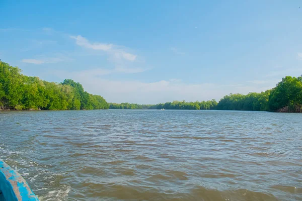 Blauwe Lucht Met Wolken Bomen Het Strand — Stockfoto