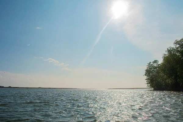 Ağaçlarla ve kuşlarla dolu deniz manzaraları.