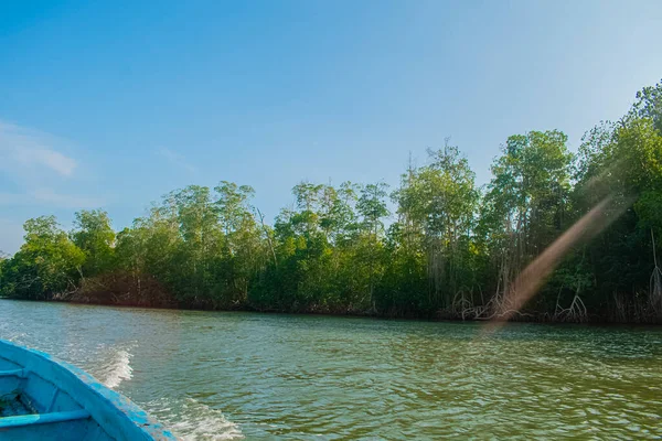 Mavi gökyüzü ile yeşil ağaçlı göl