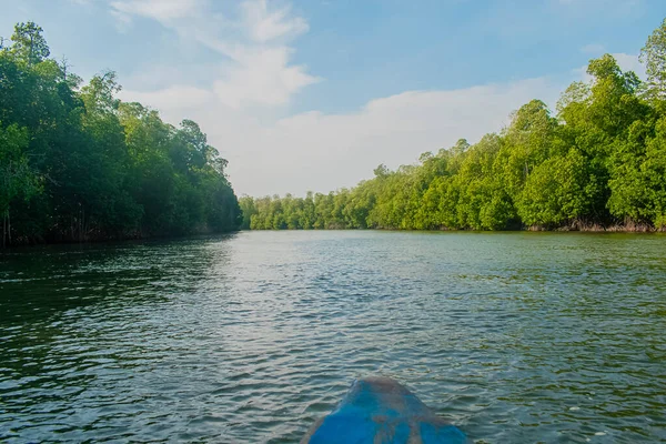 Rivierlandschap Met Groene Bomen Lucht — Stockfoto