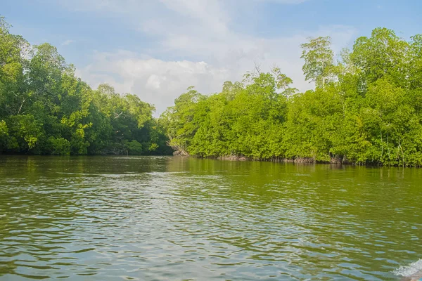 Bulutlu mavi gökyüzü, kumsalda ağaçlar