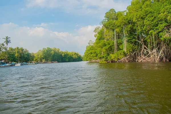 Ağaçlı güzel nehir manzarası ve bulutlu gökyüzü.