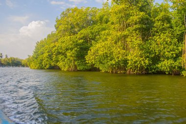 Beautiful summer sunset bluish sky, flared clouds waves boats, trees around sea and sand