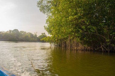 Beautiful summer sunset bluish sky, flared clouds waves boats, trees around sea and sand