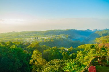 beautiful landscape surrounded by large trees and fauna in sight.