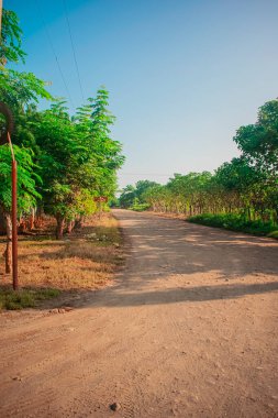 big road with houses on banks and blue sky with trees and banks
