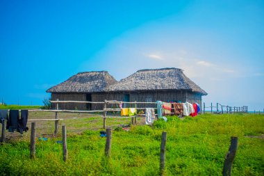 palm house made of wood