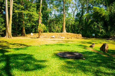 mayan temple with green grass with trees in guatemala