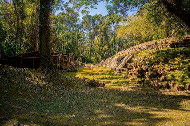 Mayan ruin in the forest with beautiful path
