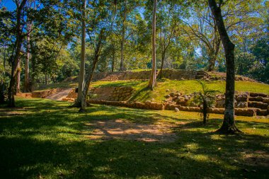 mayan city in the forest with green grass