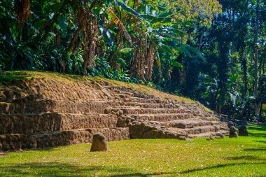 ancient temple with green forest