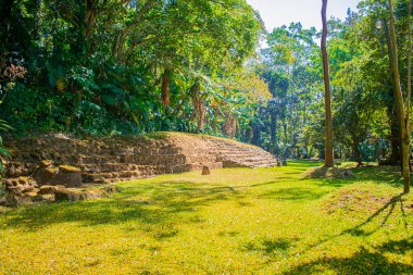 forest with temple and green trees with blue sky