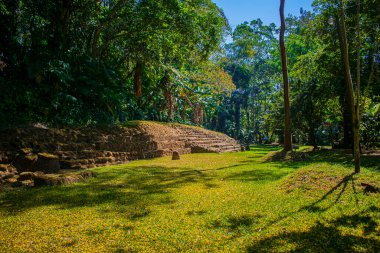 textured green grass with ancient temple