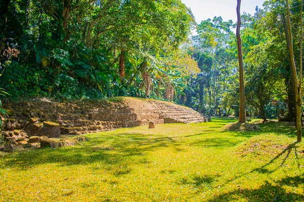 Forest Temple Green Trees Blue Sky — Stock fotografie