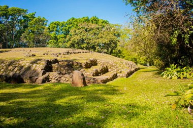 Mayan runi from takalik abaj with trees with green grass