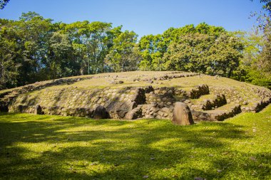 mayan runi from takalik abaj with trees