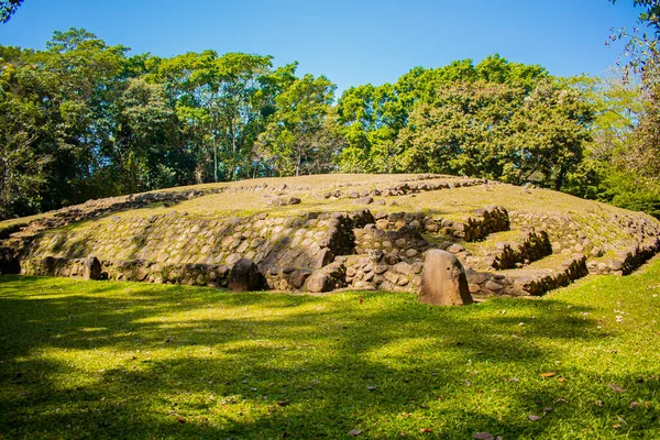 Mayan Runi Takalik Abaj Trees — Stock Photo, Image