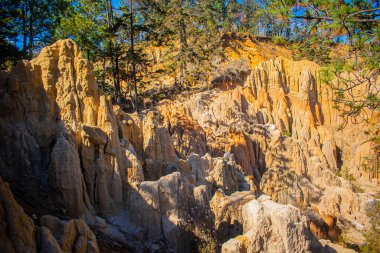 Yeşil ağaçlı kayalıklar Güzel manzara