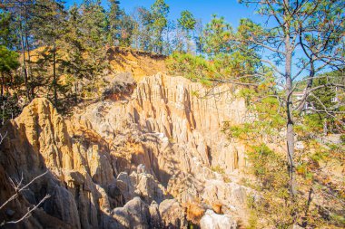 Momostenango uçurumu ve güzel çam ağaçları