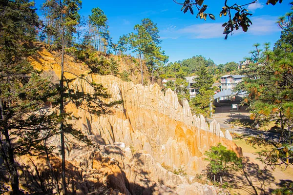 由美丽的黄色岩石和树木构成的悬崖 — 图库照片