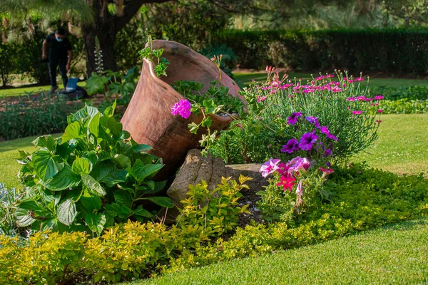 Recipiente Argila Bonito Com Flores Redor Jardim Com Árvores — Fotografia de Stock