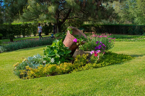 Beautiful Clay Jar Flowers Garden Trees — Stock Photo, Image