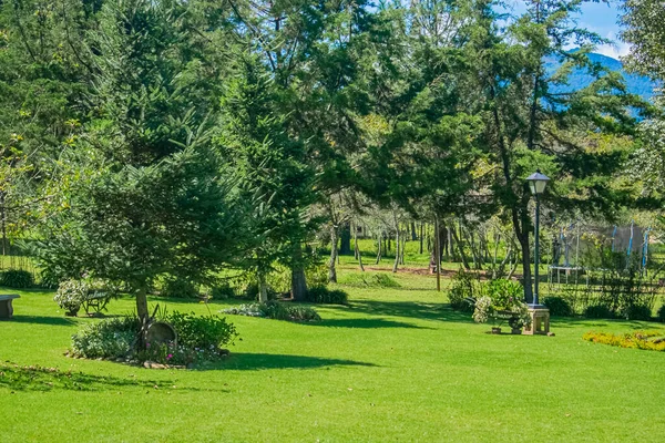 Grote Prachtige Tuin Vol Bloemen Met Rotsen Rond — Stockfoto