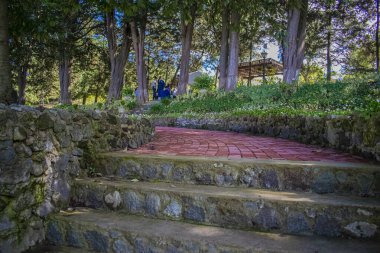 Etrafında renkli ağaçlar ve kayalar olan sevimli bir patika.