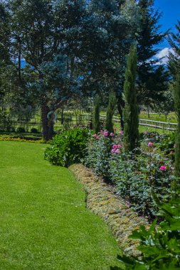 Bahçede yeşil çimenli güzel çiçekler