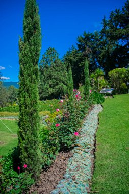 Etrafındaki ağaçlar çiçekler ve kayalar güzel bir arka planda.