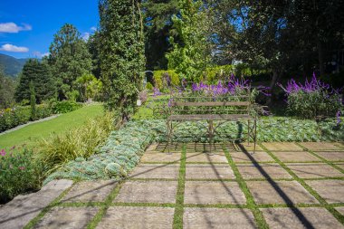 Çiçeklerle çevrili güzel bir bahçe.