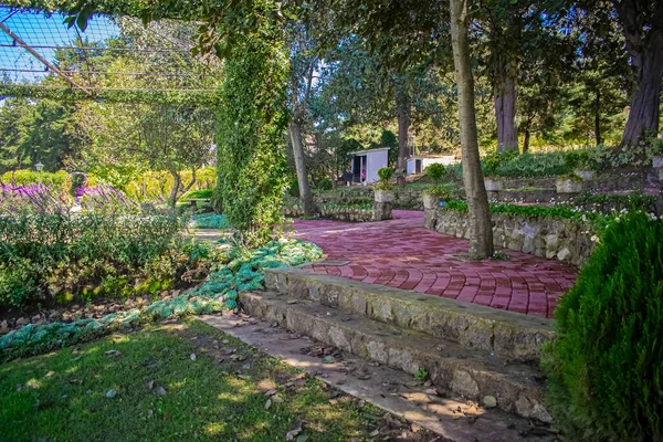 Path Rocks Shore Flowers Steps — Stock Photo, Image