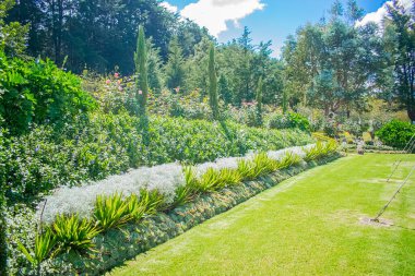 Etrafı güzel doğayla çevrili güzel bir bahçe.