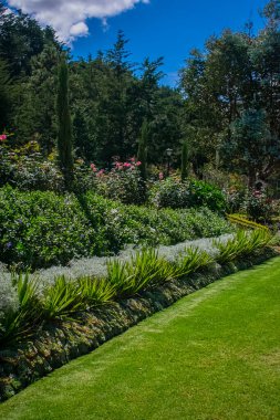 Bahçenin güzel manzarası