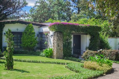 Renkli çiçeklerle çevrili güzel bir ev.