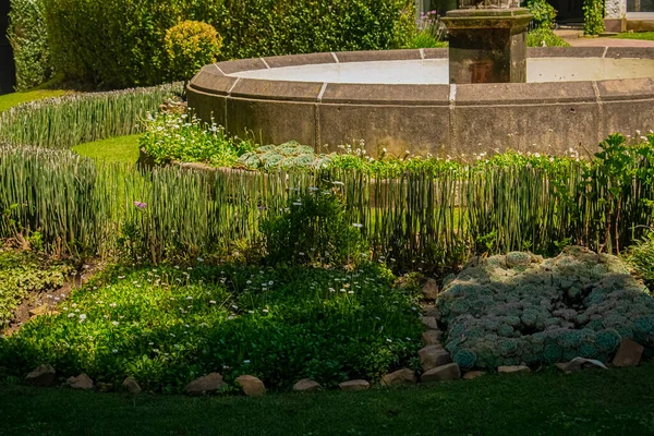 Fuente Con Agua Transparente Jardín —  Fotos de Stock