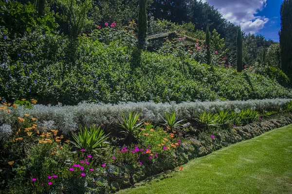 Bonito Jardim Verde Com Flores Diferentes — Fotografia de Stock