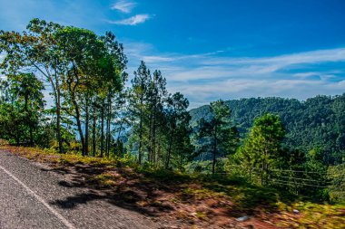 Renkli doğal yeşil ağaçları olan güzel bulut manzarası