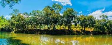 Arka planda mavi gökyüzü olan yeşil ağaçlı panoramik nehir manzarası
