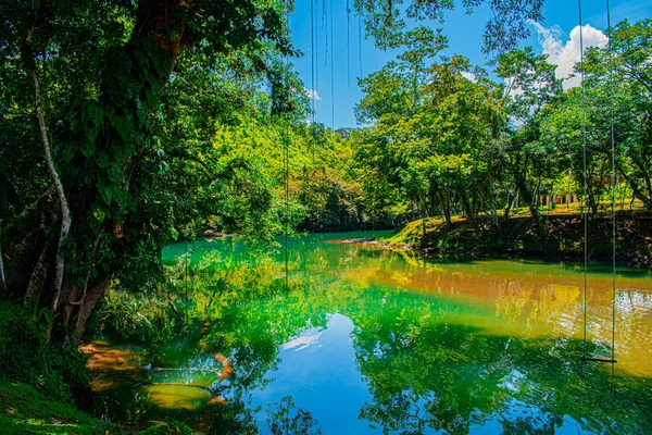 Paisagem Rio Cor Verde Com Selva Com Ramos Céu — Fotografia de Stock