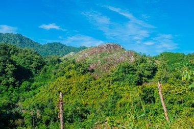 Ormanlı tepe Mavi gökyüzünde bulutlu dağlar